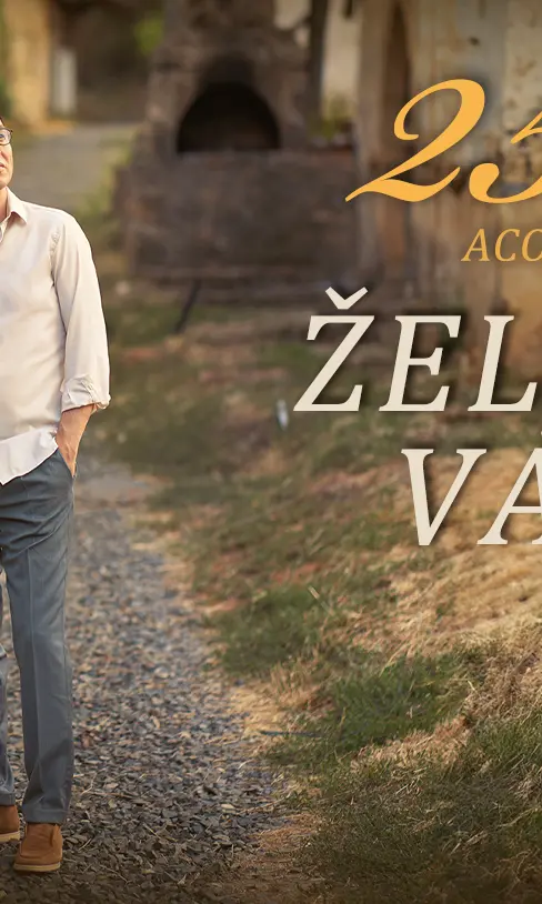 Željko Vasić — 25ica