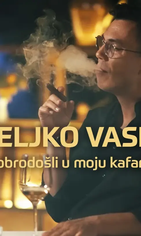Željko Vasić — Koncert