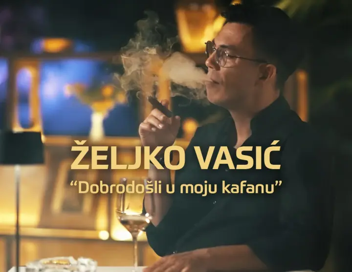 Željko Vasić — Concert
